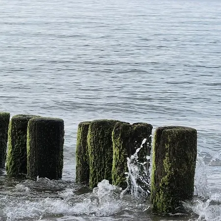 Nadmorskie Lofty Апартаменты Гонски