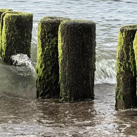 Nadmorskie Lofty * Гонски