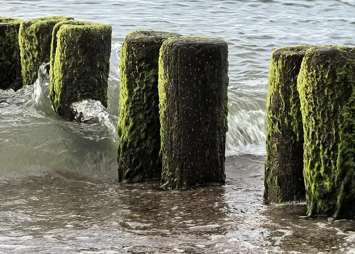 Nadmorskie Lofty * Gąski